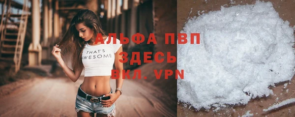 ПСИЛОЦИБИНОВЫЕ ГРИБЫ Грязовец