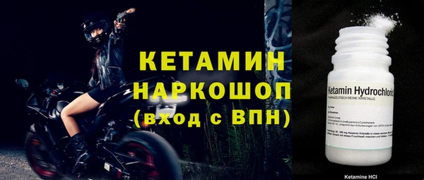 спиды Губаха