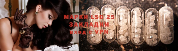 спиды Губаха
