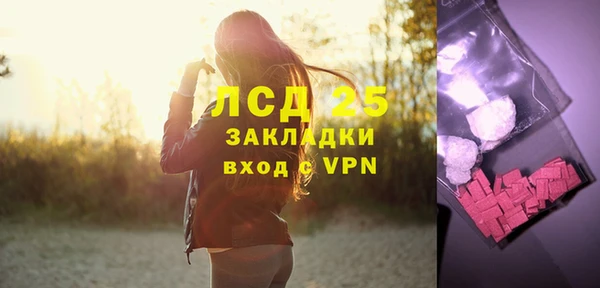 ПСИЛОЦИБИНОВЫЕ ГРИБЫ Грязовец