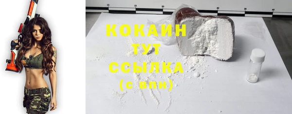 ПСИЛОЦИБИНОВЫЕ ГРИБЫ Грязовец