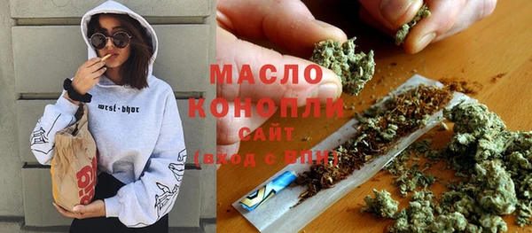 гашик Галич