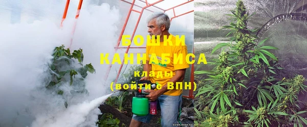 ПСИЛОЦИБИНОВЫЕ ГРИБЫ Грязовец