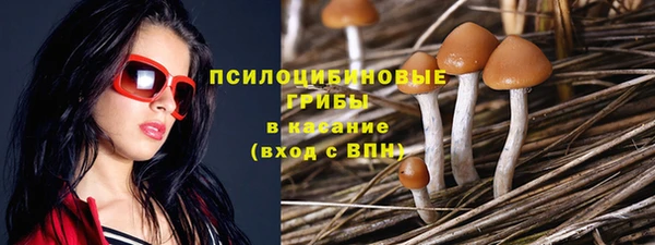 ешки Елабуга