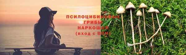 гашик Галич