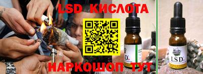 крисы Дубна