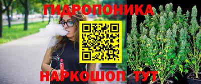 spice Волжский