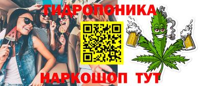 шишки Волгодонск