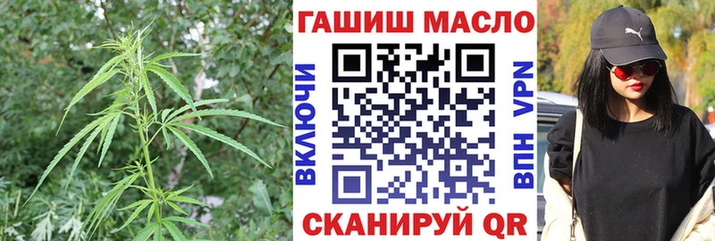 ТГК жижа  даркнет клад  Кузнецк  продажа наркотиков 