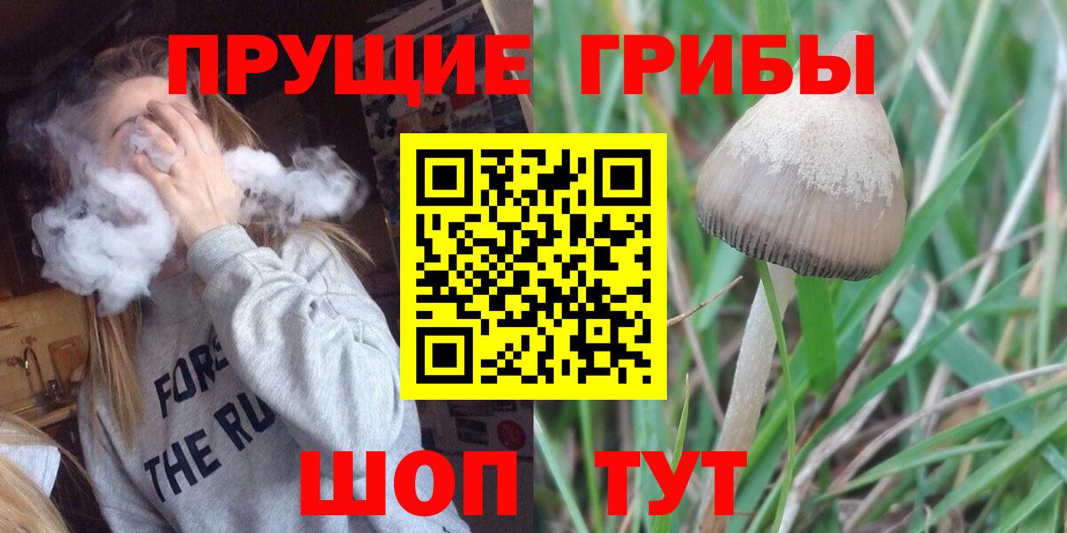 Псилоцибиновые грибы Cubensis Кузнецк