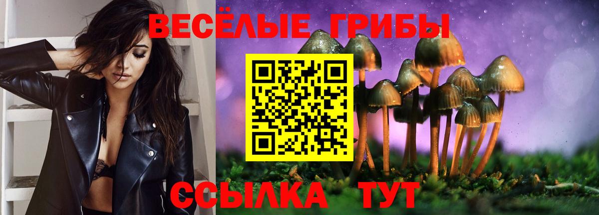 Псилоцибиновые грибы Psilocybe Кузнецк
