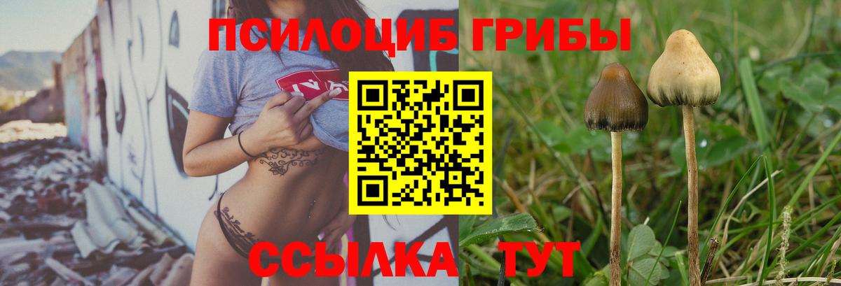 COCAIN  Канабис  НБОМе  Меф МЯУ МЯУ   ГАШИШ  Кузнецк  ГАШИШ  Как найти наркотики?  Вход с VPN 