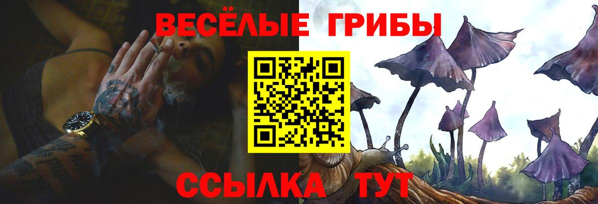 Кузнецк  Псилоцибиновые грибы ЛСД  Вход с VPN 